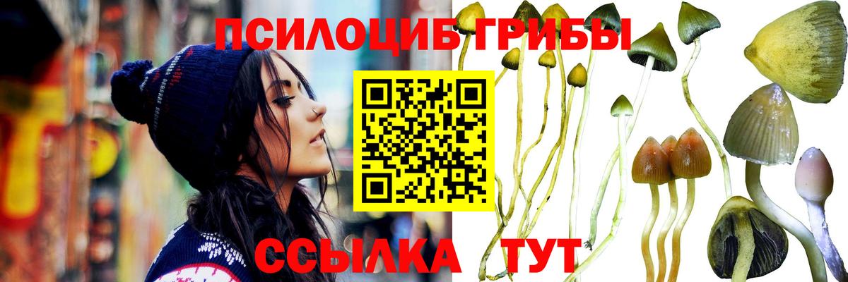 Партизанск  Псилоцибиновые грибы мицелий  Вход с VPN  Галлюциногенные грибы Cubensis 